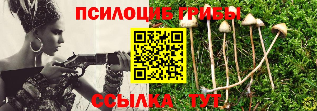 Галлюциногенные грибы Psilocybine cubensis  Вход с VPN  Чебаркуль 